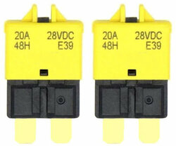 Automatische steekzekering 20A - 2 stuks